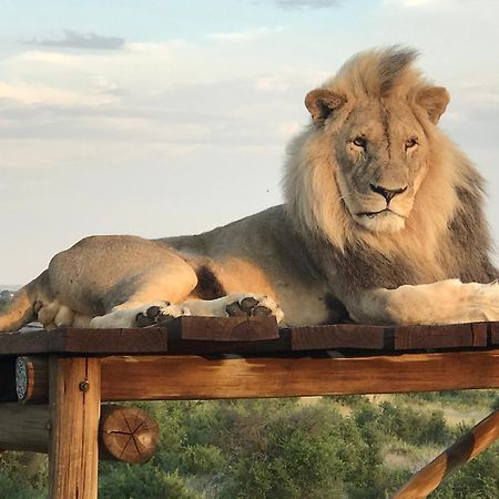 Weltevreden Game Lodge Bloemfontein Luaran gambar