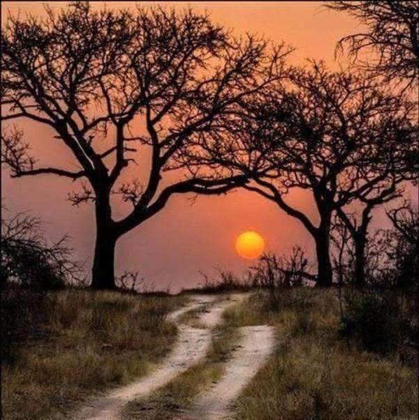 Weltevreden Game Lodge Bloemfontein Luaran gambar