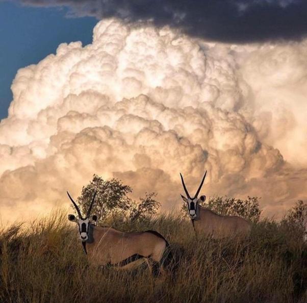 Weltevreden Game Lodge Bloemfontein Luaran gambar