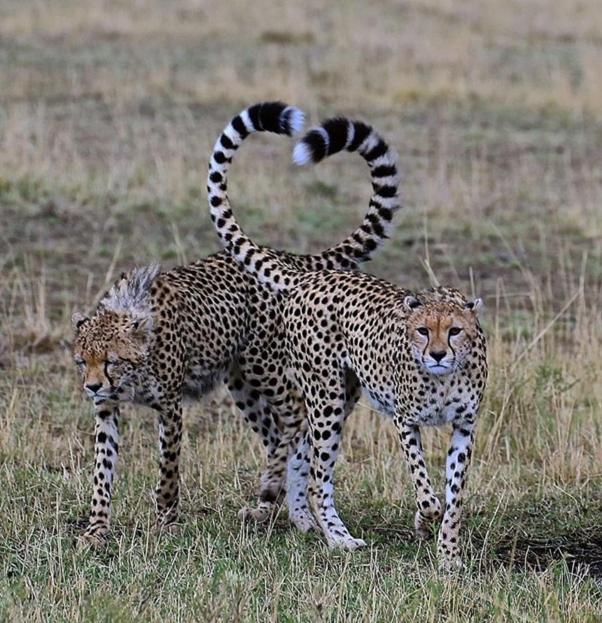 Weltevreden Game Lodge Bloemfontein Luaran gambar
